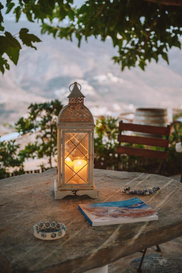 Tholariani Villas アモルゴス島 エクステリア 写真